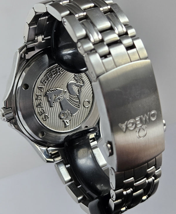 OMEGA Seamaster Professional 300M  Co Axial - Men's Watch - 212.30.41.20.01.003