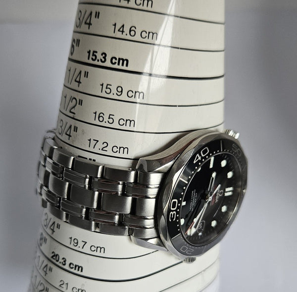 OMEGA Seamaster Professional 300M  Co Axial - Men's Watch - 212.30.41.20.01.003