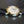 OMEGA Seamaster 105.005-65 Chronograph Cal.321 - Year 1967 - Vintage watch
