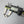 Tag Heuer Aquaracer Link 17MM FAA054 BA0830 WAK2110 WAK2111 WAP2010